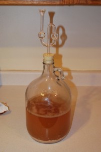 Yeast Starter Image